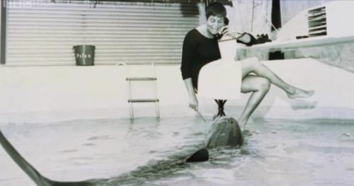 В 1960-х дельфин по имени питер участвовал в проекте Nasa по изучению общения между человеком и дельфином. 02