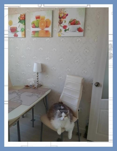 Все о дизайне интерьера. 03