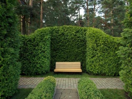 Без шума и пыли - это о живой изгороди! 04