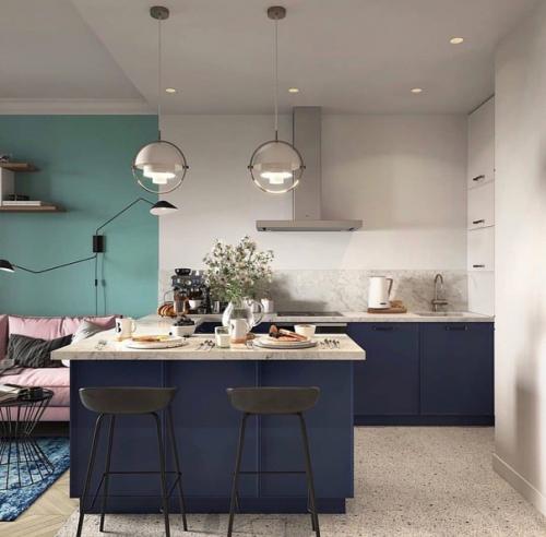 Кухня - гостиная, площадью - 21, 7 кв. 01