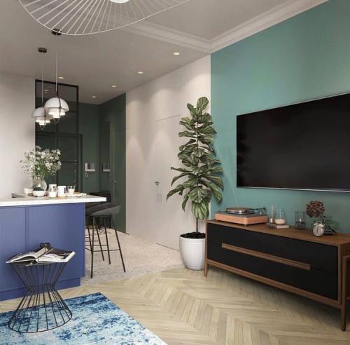 Кухня - гостиная, площадью - 21, 7 кв. 03