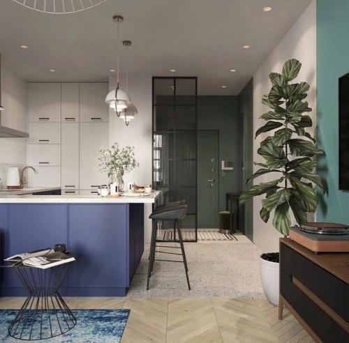 Кухня - гостиная, площадью - 21, 7 кв. 04