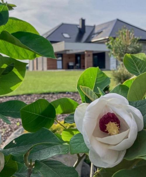 Остается только залипать и немного завидовать этой красоте. 07