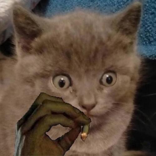 В Екатеринбурге мигрант по имени Исмат попытался познакомиться с девочками - школьницами. 01