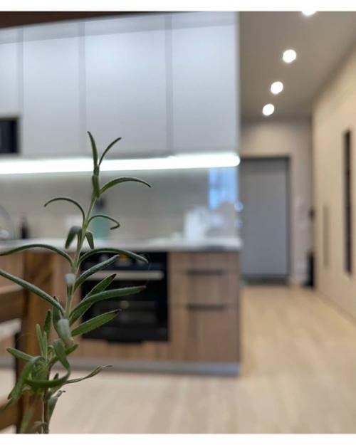 Квартире - студии.  С помощью мебельнои перегородки разделили пространство на две основные зоны - кухни и спальни. 08