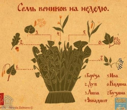 Самострой. Вeники для бaни: виды веников и их полезные свойства. 03 Самострой. Вeники для бaни: виды веников и их полезные свойства. 03