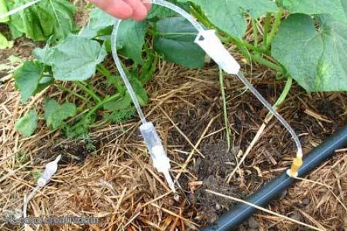 Как сделать простейший капельный полив из бочки. 02 Как сделать простейший капельный полив из бочки. 02