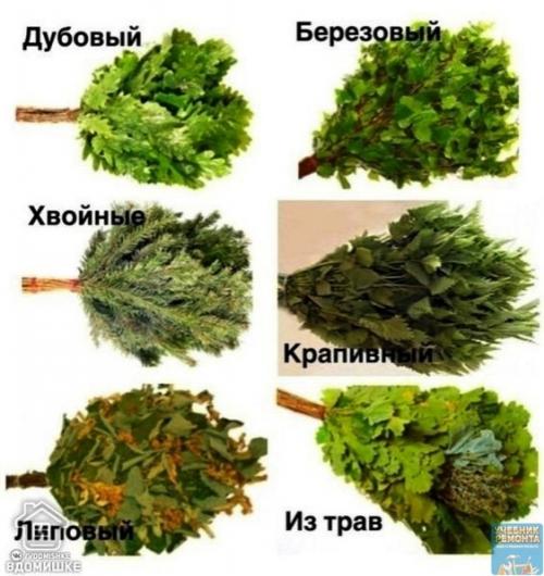 Самострой. Вeники для бaни: виды веников и их полезные свойства. 01 Самострой. Вeники для бaни: виды веников и их полезные свойства. 01