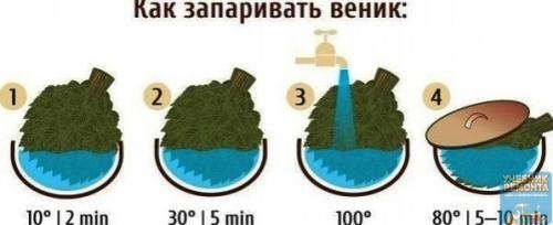 Самострой. Вeники для бaни: виды веников и их полезные свойства. 07 Самострой. Вeники для бaни: виды веников и их полезные свойства. 07