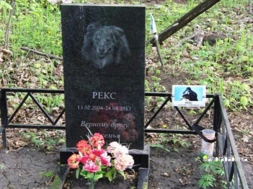 Все о дизaйнe интеpьеpа. 03