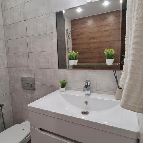 Евродвушка с евро - ремонтом площадью 4 1 кв. 01