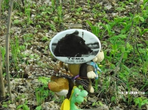 Все о дизaйнe интеpьеpа. 05