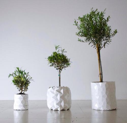 Горшок, который растет вместе с цветком. 02