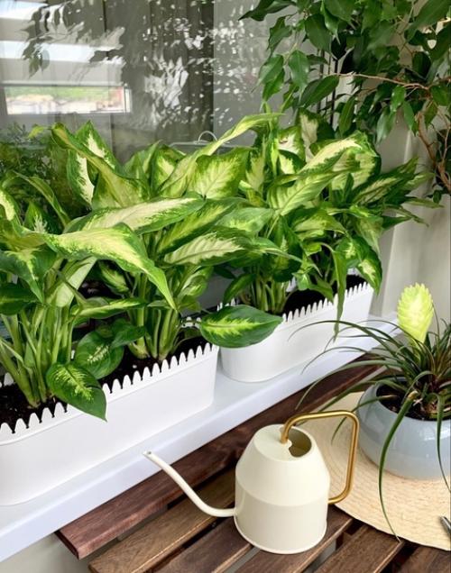 Наша лоджия после ремонта. 04