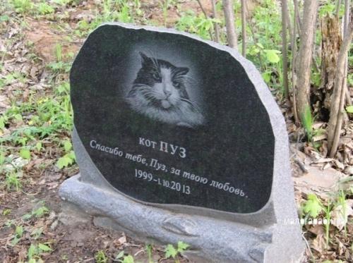 Все о дизaйнe интеpьеpа. 01