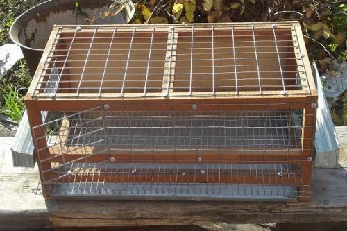Клетки для перепелов: основные требования и устройство, инструкция изготовления своими руками. 05