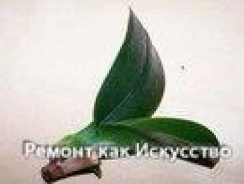 Как размножать орхидею фаленопсис. 05