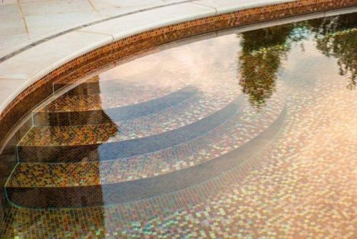 Бассейн в форме скрипки. 03