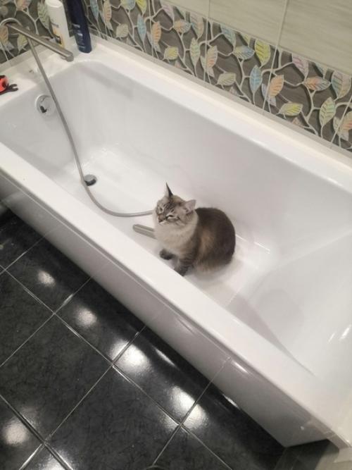 Капитальный ремонт в ванной. 04