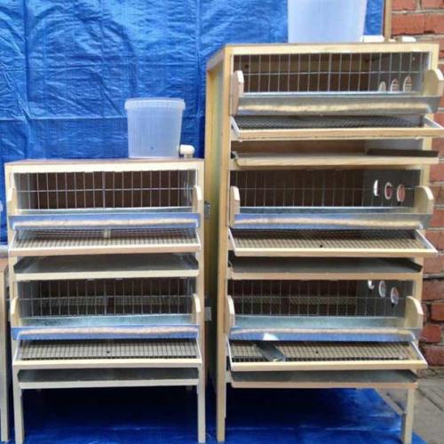 Клетки для перепелов: основные требования и устройство, инструкция изготовления своими руками. 04