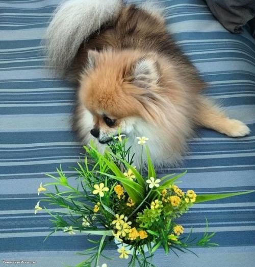 До и после. 04