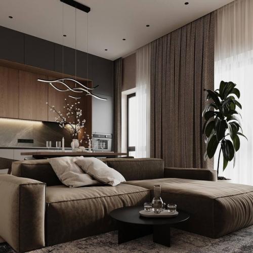 Строгий тёмный интерьер кухни - гостиной 23 м 2 с оригинальными деталями декора. 02