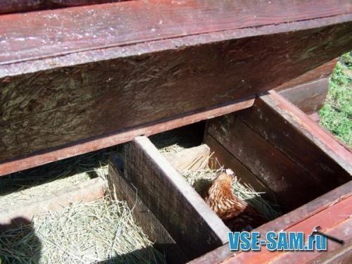 Курятник своими руками. 03