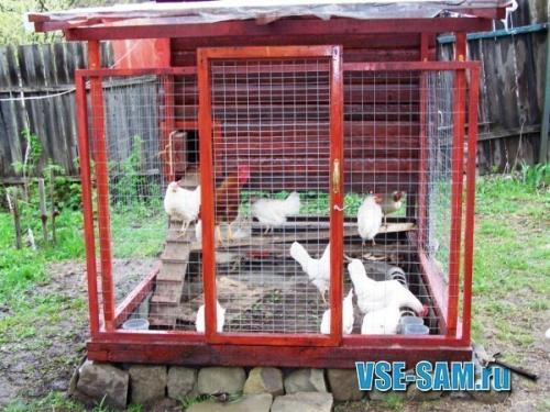 Курятник своими руками. 06
