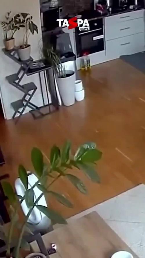 Двухлетняя девочка спасла отца и стала героиней соцсетей. 01