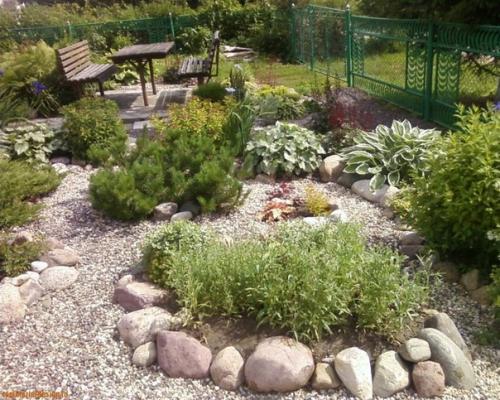 Гравийный сад. Очень простой и недорогой вариант альпийской Горки. 04
