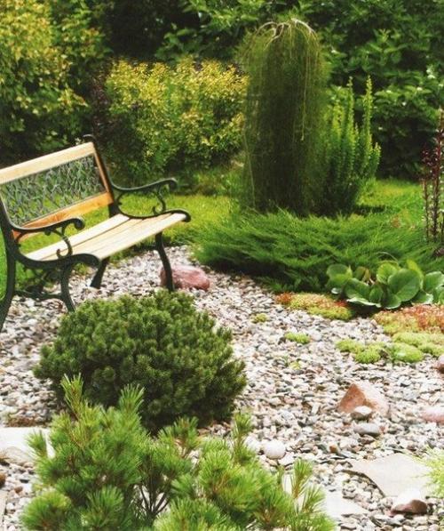 Гравийный сад. Очень простой и недорогой вариант альпийской Горки. 08