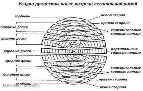 Деформация дерева и внутреннее напряжение дерева. 01