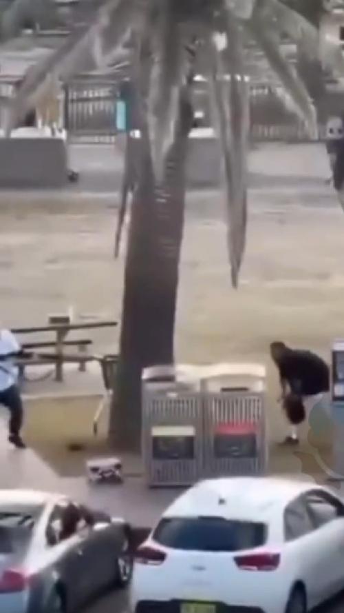 Мужчина голыми руками стрелка на пляже в Австралии обезвредил. 01