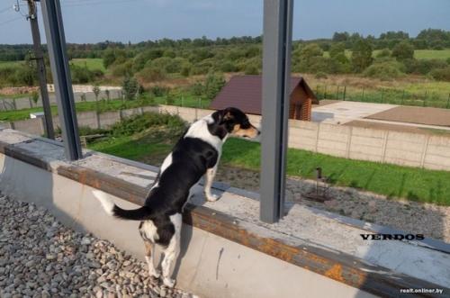 Построен дом с прямой крышей. 05