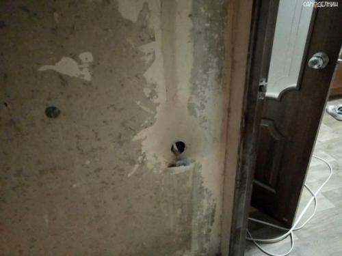 Решил заменить электрику в комнате. 09