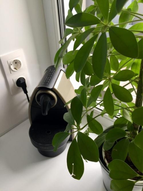 Однушка для дочери после капитального ремонта. 02