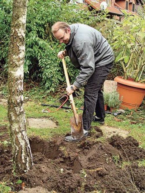 Как спилить дерево пошаговая инструкция. 06