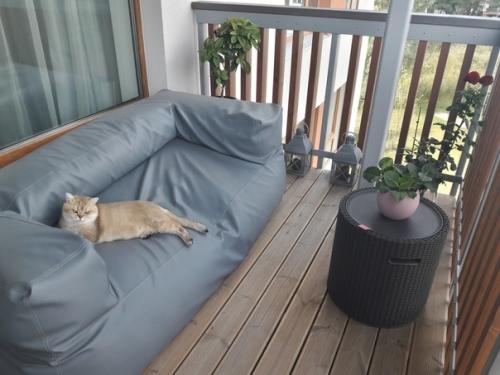 Немного уюта и хорошей погоды в ленту квартира после капитального ремонта. 03