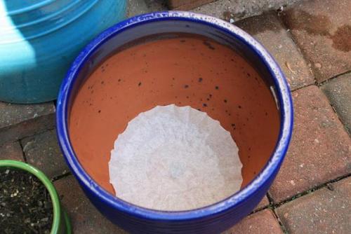 10 садовых хитростей для продвинутых дачников. 04