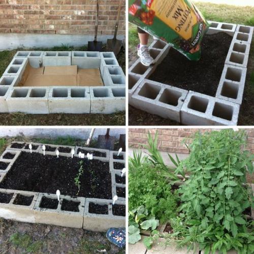 10 садовых хитростей для продвинутых дачников. 07