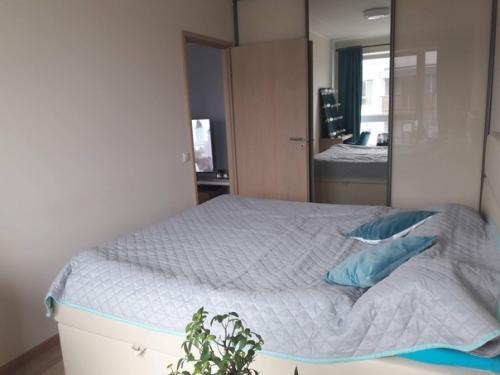 Немного уюта и хорошей погоды в ленту квартира после капитального ремонта. 06