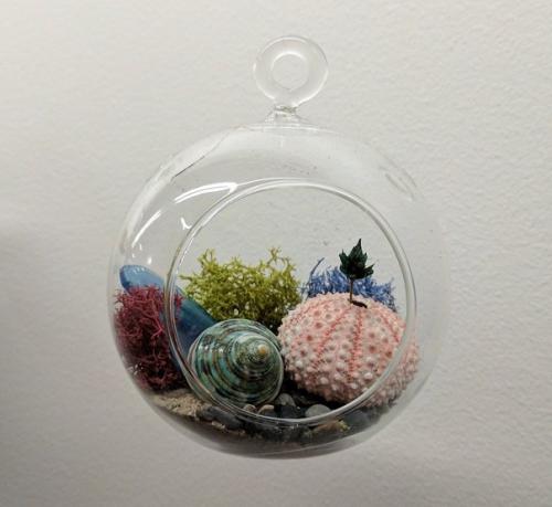 Таким образом, если у вас никогда не было комнатных растений, но вы хотите начать, хорошим вариантом станет флорариум. 02