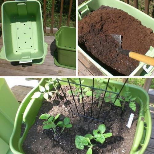 10 садовых хитростей для продвинутых дачников. 01