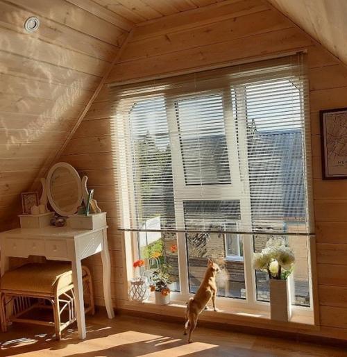 Нашеи даче чуть более 40 лет, последние 20 лет она находилась в заброшенном состоянии. 05