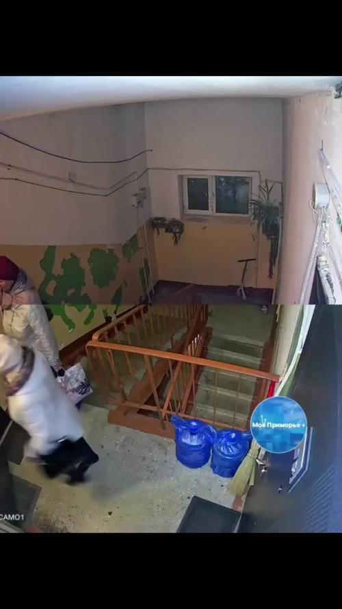 Во Владивостоке жители многоэтажки пожаловались на агрессивное поведение пожилой соседки.
