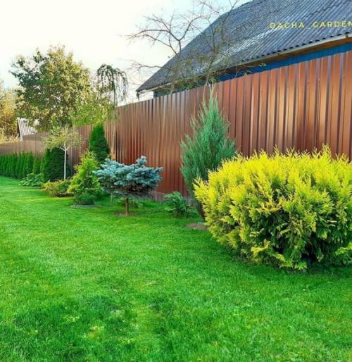 Нашеи даче чуть более 40 лет, последние 20 лет она находилась в заброшенном состоянии. 09