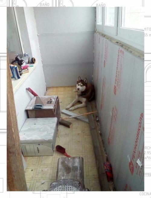 Утеплили лоджию.  Делал все своими руками. 03