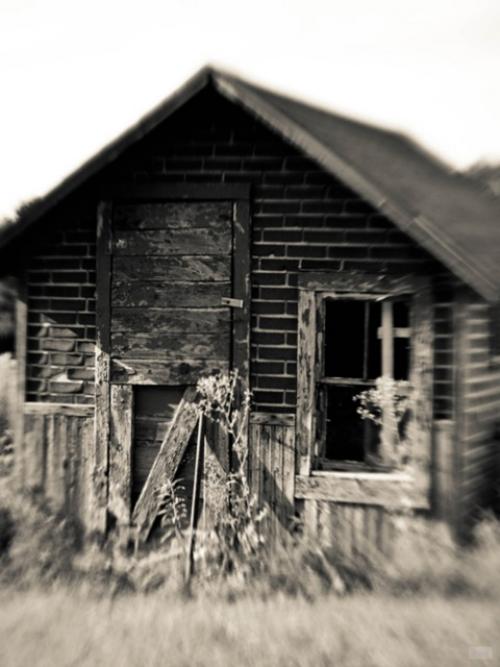 Исчезновение Елены Гавриловой: что скрывает старый дом? 02