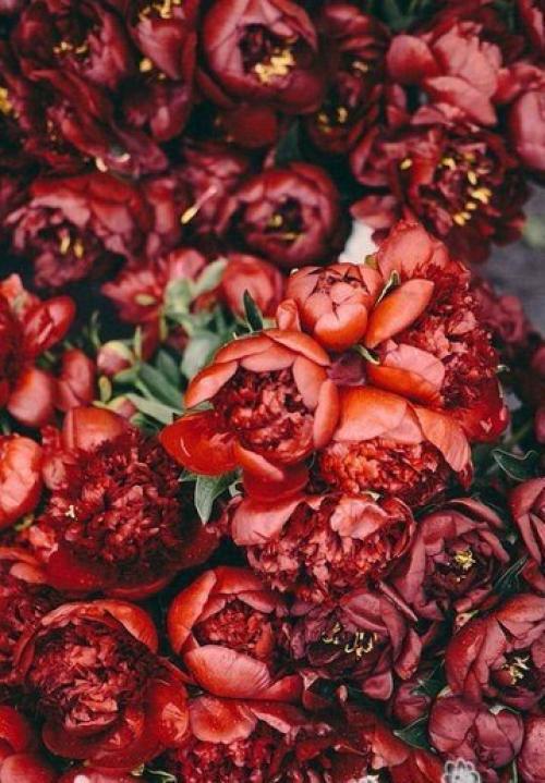 Заваривайте чай , внимание, только с правильной заваркой: со счастьем, удачей, приключениями. 03