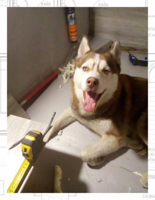 Утеплили лоджию.  Делал все своими руками. 04